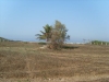 barra (3)